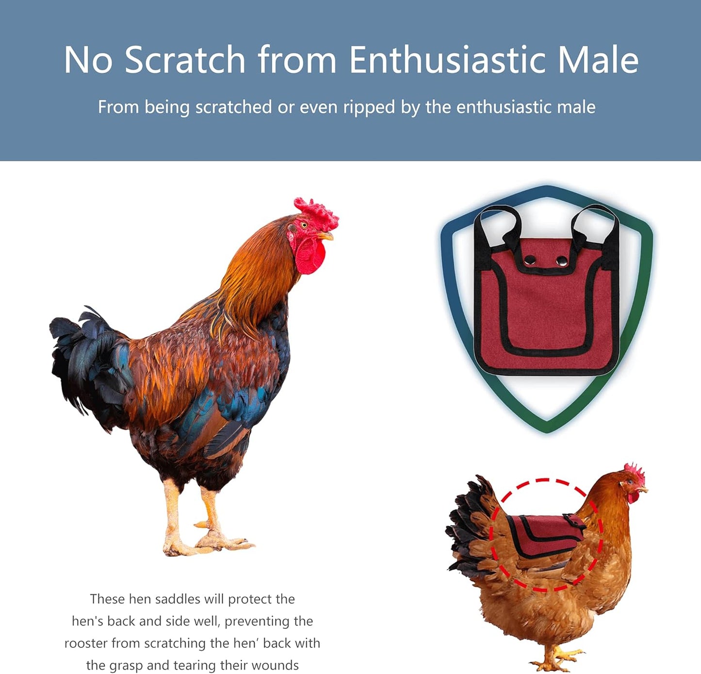 Thungeek 3 Pieces Premium Chicken Saddles with Stretchy Strap, Hen Saddle Sweater Clothes, Birds Protector for Back and Sides