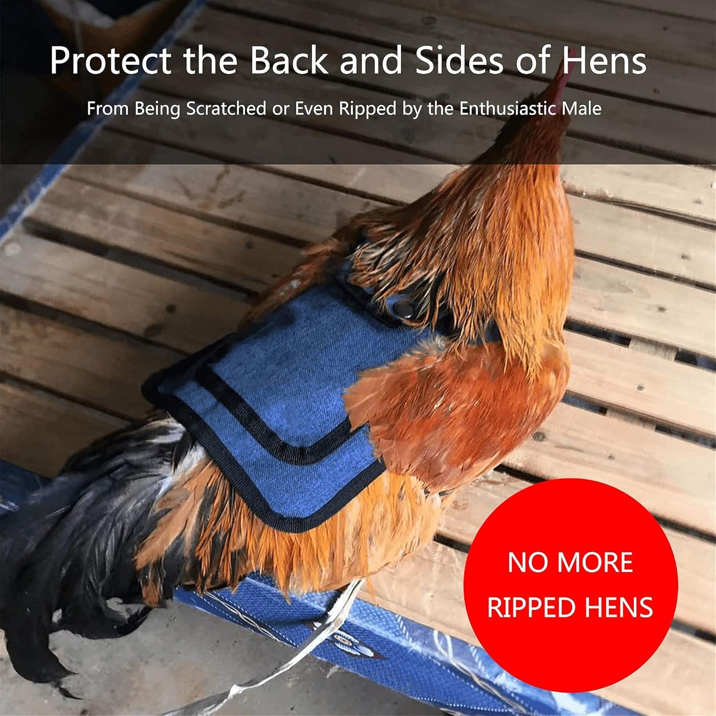 Thungeek 3 Pieces Premium Chicken Saddles with Stretchy Strap, Hen Saddle Sweater Clothes, Birds Protector for Back and Sides