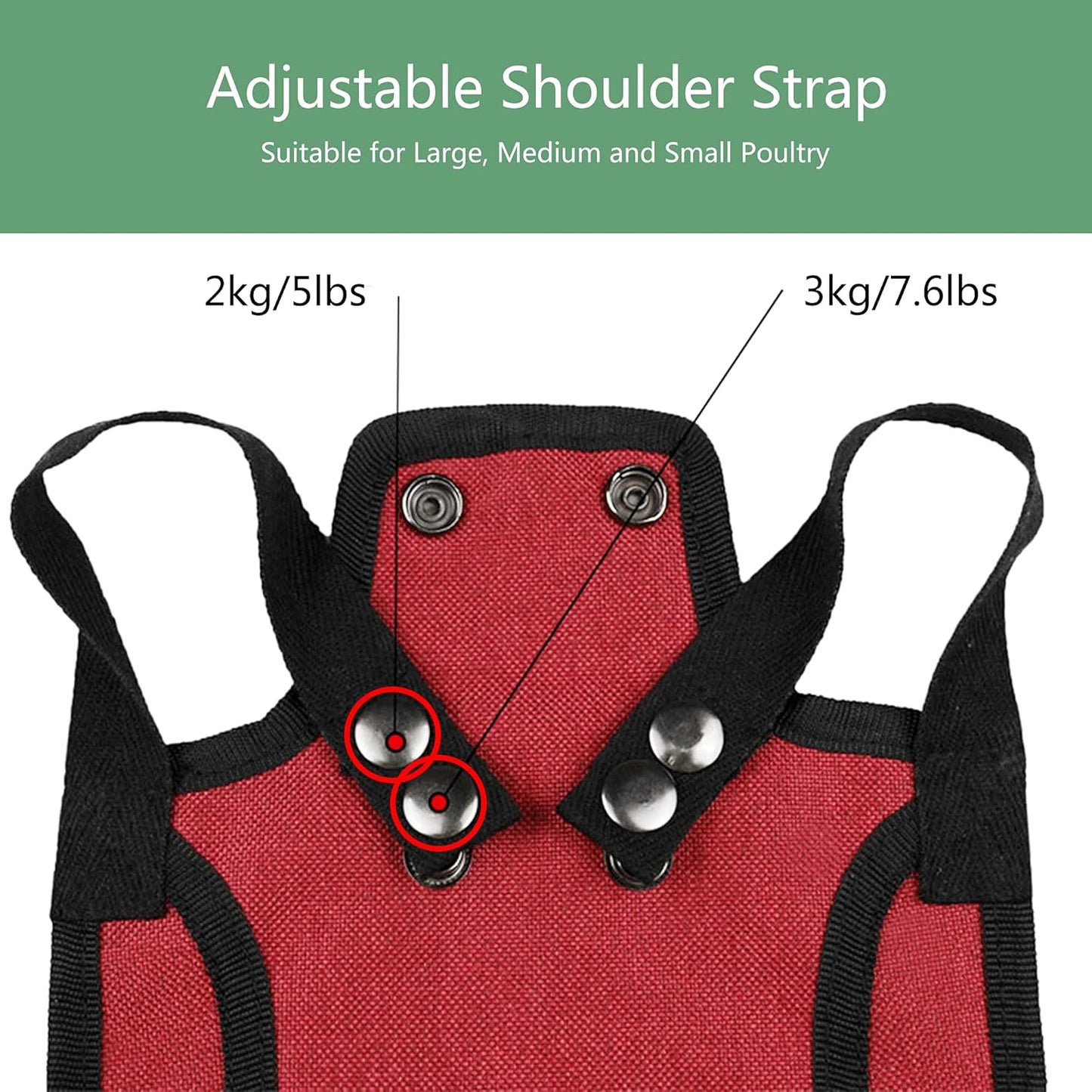 Thungeek 3 Pieces Premium Chicken Saddles with Stretchy Strap, Hen Saddle Sweater Clothes, Birds Protector for Back and Sides