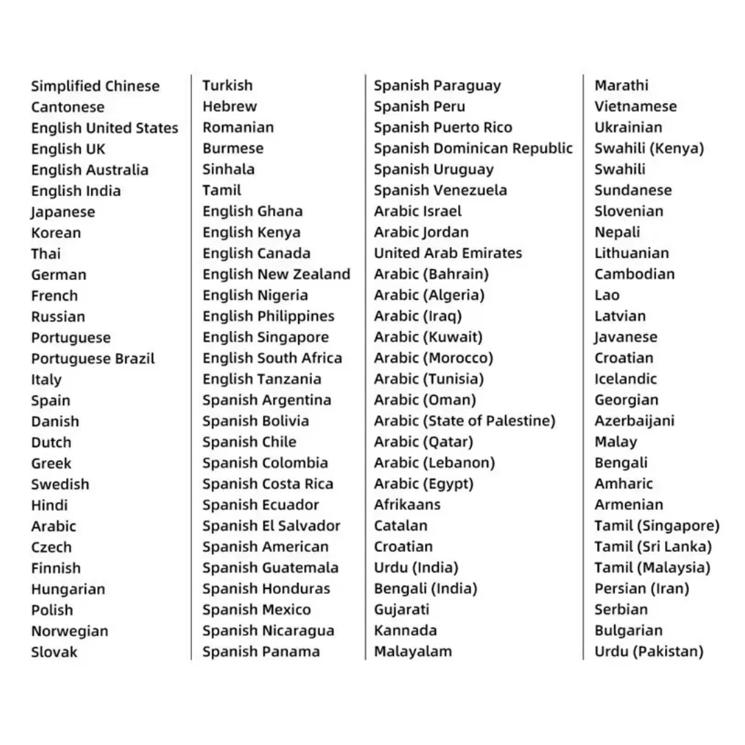 Stylo traducteur de voyage